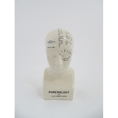 1267 - A 20thC ceramic Phrenology bust after L. N. Fowler, with anatomical / cranium labelling. Approx. 11