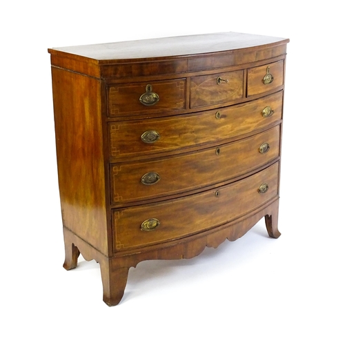 1551 - A mid 19thC mahogany chest of drawers with a bow fronted top above three short over three long drawe... 