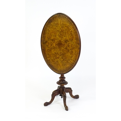 1650 - A late 19th / early 20thC walnut occasional table with an oval burr walnut top and a satinwood marqu... 