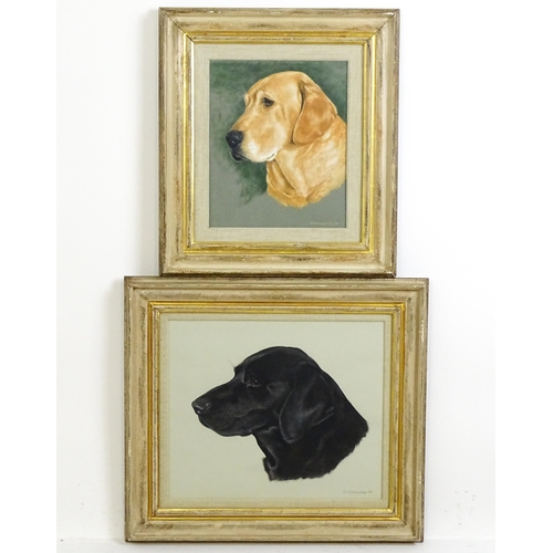 1987 - Bridget P. Olerenshaw, 20th century, Gouaches, Two dog portraits comprising a Fox Red Labrador and a... 