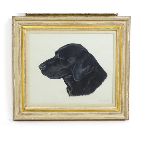 1987 - Bridget P. Olerenshaw, 20th century, Gouaches, Two dog portraits comprising a Fox Red Labrador and a... 