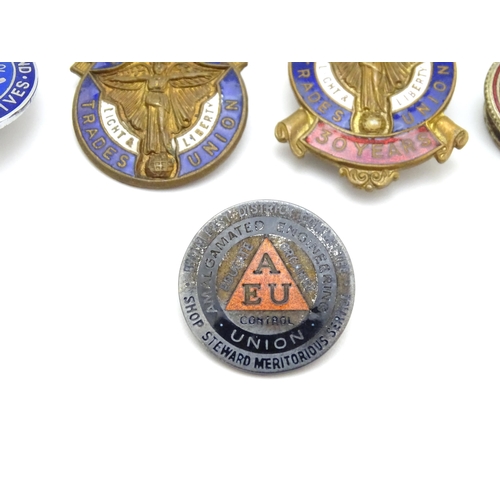 981 - Trade Union Interest: a quantity of assorted badges, pins, etc. to include Amalgamated Engineers Uni... 