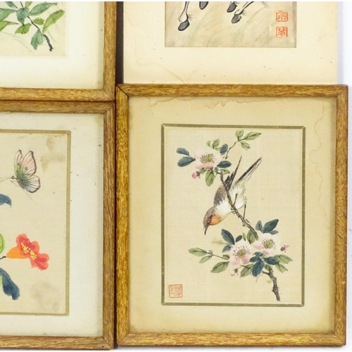 2040 - Chinese School, Watercolours, Four assorted to include a bird perched on a blossom branch, two flora... 