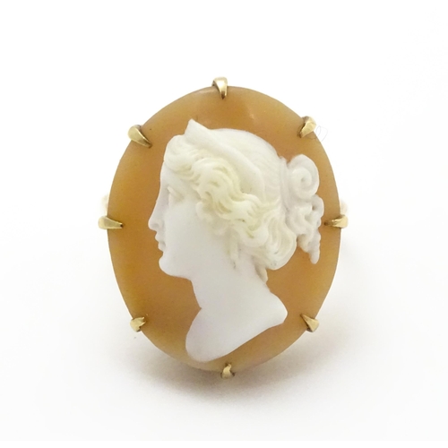 698 - A 9ct gold ring set set with central shell carved cameo. Ring size approx O