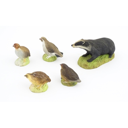 788 - Five Aynsley models of animals comprising Badger, Partridge, Quail, Grouse and Ptarmigan. Badger app... 