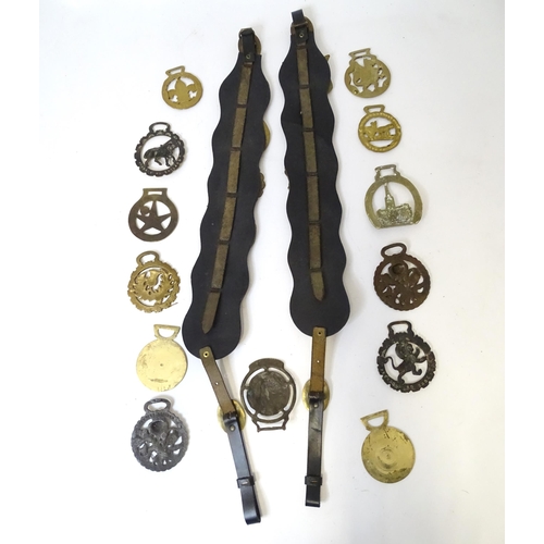 353 - Two leather straps with horse brass detail, together with various loose horse brasses (15)