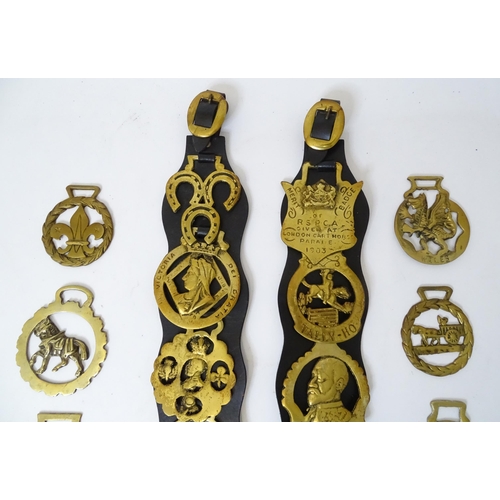 353 - Two leather straps with horse brass detail, together with various loose horse brasses (15)