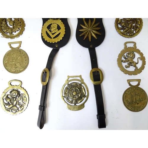 353 - Two leather straps with horse brass detail, together with various loose horse brasses (15)