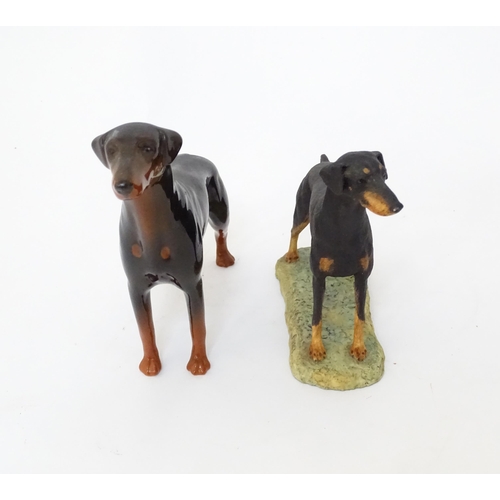 850 - A Beswick model of a Doberman dog. Together with a Border Fine Arts Doberman. (G)