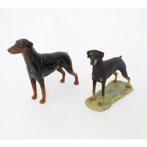 850 - A Beswick model of a Doberman dog. Together with a Border Fine Arts Doberman. (G)