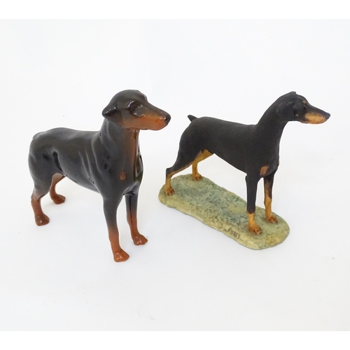 850 - A Beswick model of a Doberman dog. Together with a Border Fine Arts Doberman. (G)