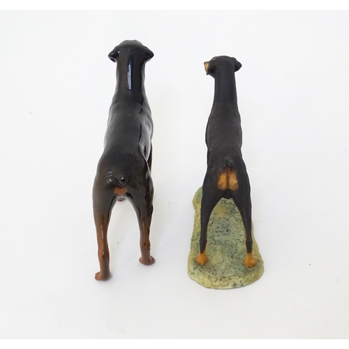 850 - A Beswick model of a Doberman dog. Together with a Border Fine Arts Doberman. (G)