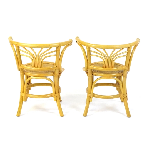 856 - A pair of vintage bamboo style bentwood and rattan chairs. 23