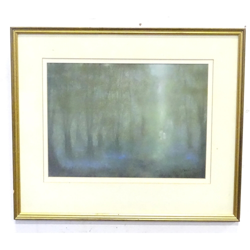 894 - Mary Ann Clarke, 20th century, Pastel on paper, Spring in the Dark Woods. Signed lower right and asc... 