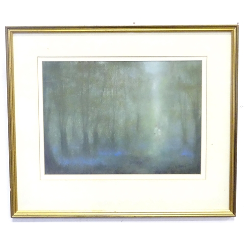 894 - Mary Ann Clarke, 20th century, Pastel on paper, Spring in the Dark Woods. Signed lower right and asc... 