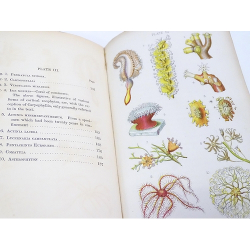 317 - Books: Two books on the subject of natural history, comprising Glaucus, or The Wonders of the Shore,... 