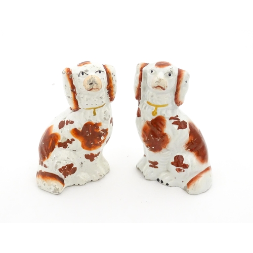 67 - A pair of Staffordshire seated dogs with collar detail. Approx. 4