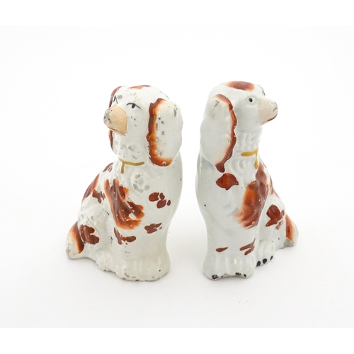 67 - A pair of Staffordshire seated dogs with collar detail. Approx. 4