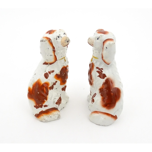 67 - A pair of Staffordshire seated dogs with collar detail. Approx. 4