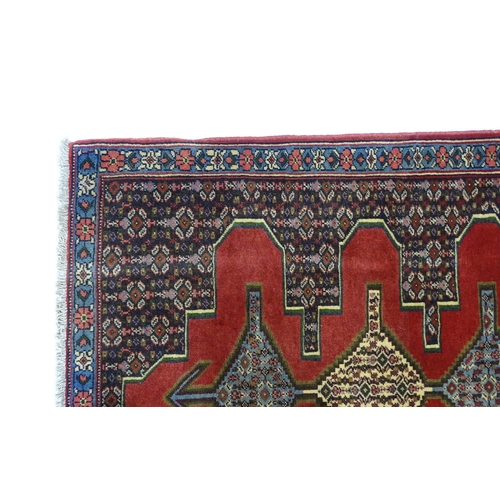 1385 - Carpet / Rug : A North West Persian Senneh runner with a red ground decorated with central repeating... 