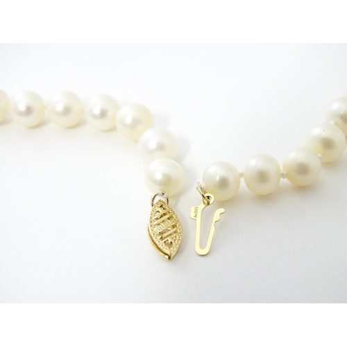 727 - A necklace of jade beads and pearls with 14ct gold clasp. Approx 18