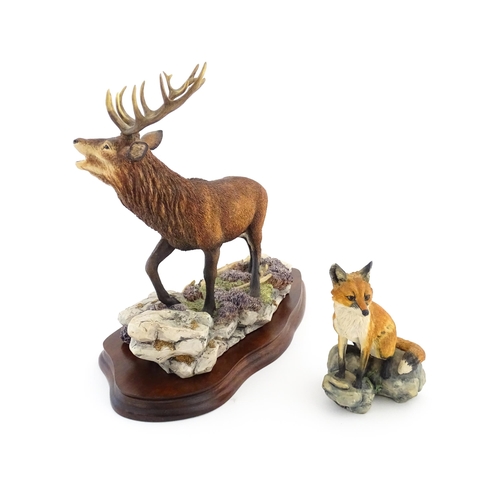 1120 - Two Border Fine Arts animal models comprising Highland Majesty B0220 by R. Roberts, and a seated fox... 