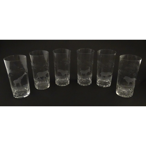 178 - Six Rowland Ward highball glasses with engraved Safari animal detail. Unsigned. Approx. 5 1/2