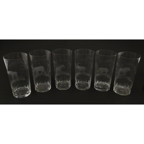 178 - Six Rowland Ward highball glasses with engraved Safari animal detail. Unsigned. Approx. 5 1/2