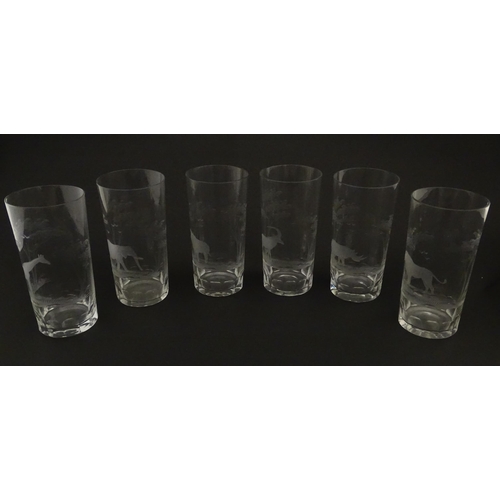 178 - Six Rowland Ward highball glasses with engraved Safari animal detail. Unsigned. Approx. 5 1/2