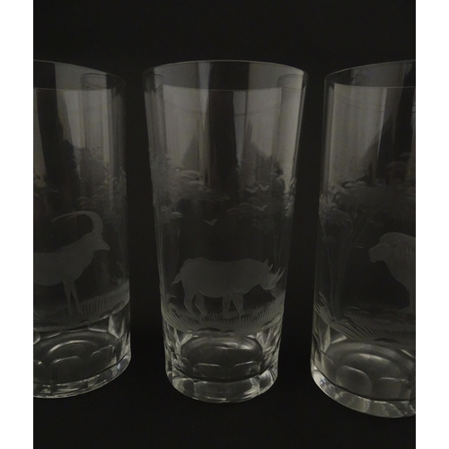 178 - Six Rowland Ward highball glasses with engraved Safari animal detail. Unsigned. Approx. 5 1/2