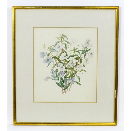 1794 - 19th / 20th century, Watercolour, A botanical study of a bouquet of purple and white flowers. Bears ... 