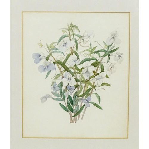 1794 - 19th / 20th century, Watercolour, A botanical study of a bouquet of purple and white flowers. Bears ... 