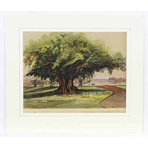 1864 - 19th century, Anglo-Indian School, Watercolour, A study of a landscape with Banyan trees and a river... 