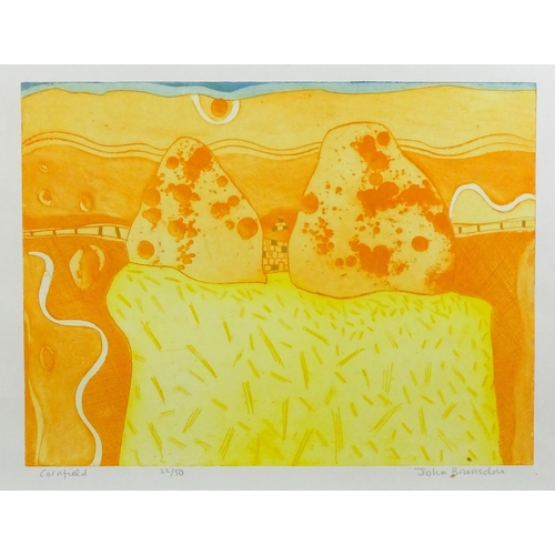 1898 - John Brunsdon (1933-2014), Limited edition etching with aquatint, Cornfield. Signed, titled and numb... 