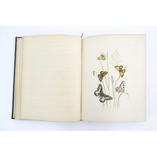 2024 - Book: British Butterflies and Their Transformations, arranged and illustrated by H. N. Humphries. Pu... 