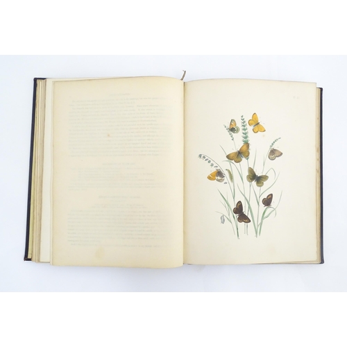 2024 - Book: British Butterflies and Their Transformations, arranged and illustrated by H. N. Humphries. Pu... 