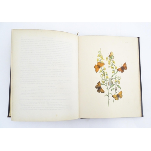 2024 - Book: British Butterflies and Their Transformations, arranged and illustrated by H. N. Humphries. Pu... 