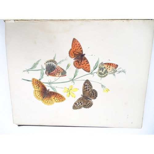 2024 - Book: British Butterflies and Their Transformations, arranged and illustrated by H. N. Humphries. Pu... 