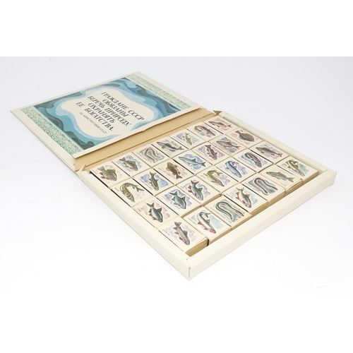 2146A - A set of 28 USSR Soviet Russian match boxes, each matchbox depicting a different fish with Cyrillic ... 