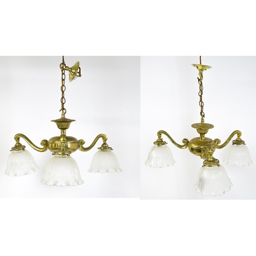 1403 - A pair of brass pendant lights having three scrolling branches with three holophane shades. Approx. ... 