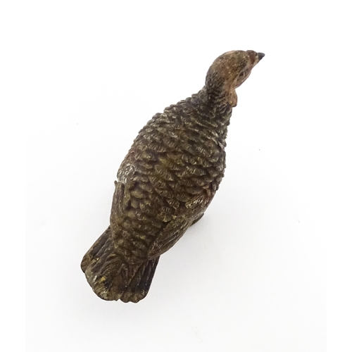 1052 - A cold painted bronze model of a game bird. Approx. 1 3/4