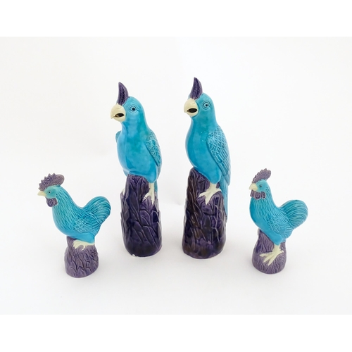 101 - A pair of Chinese models of parrots with turquoise and purple glaze. Together with a pair of similar... 