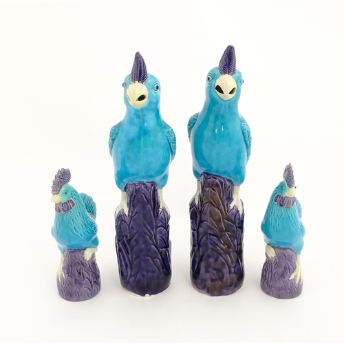 101 - A pair of Chinese models of parrots with turquoise and purple glaze. Together with a pair of similar... 