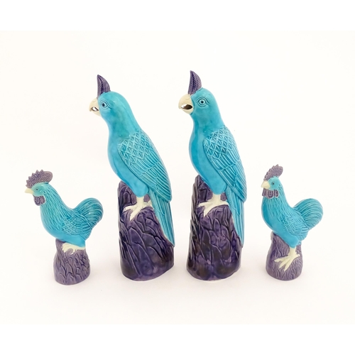 101 - A pair of Chinese models of parrots with turquoise and purple glaze. Together with a pair of similar... 