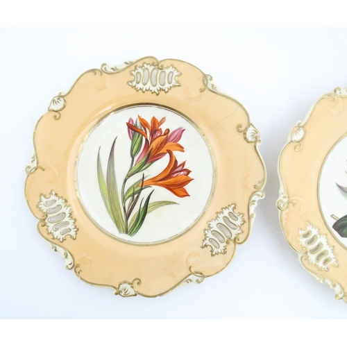 117 - Two H & R Daniel plates with hand painted botanical detail. Approx. 8 3/4