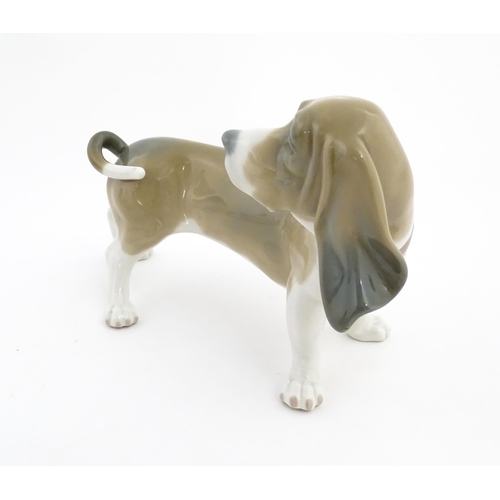 134 - A Lladro model of a Basset Hound dog, model no. 1066. Marked under. Approx. 7 3/4