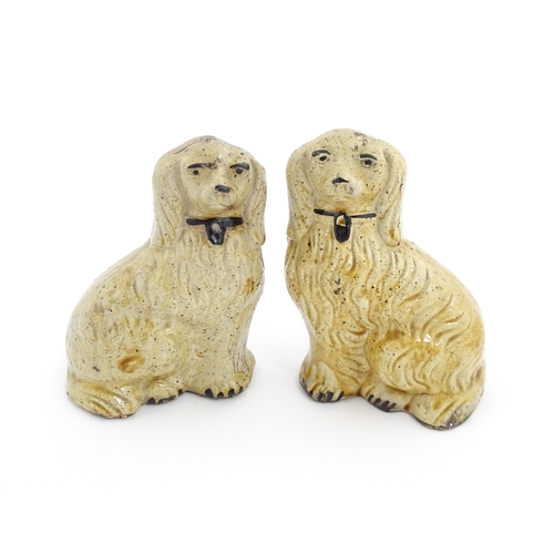 87 - A pair of Staffordshire pottery seated dogs with padlock detail to collars. Approx. 5 3/4