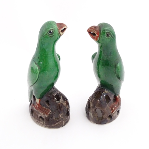 50 - A pair of Chinese green glazed models of parrots in the Kangxi style, with pierced rockwork bases. A... 