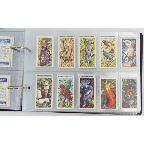 964 - A quantity of tea and cigarette cards within three albums, examples from various series including Jo... 