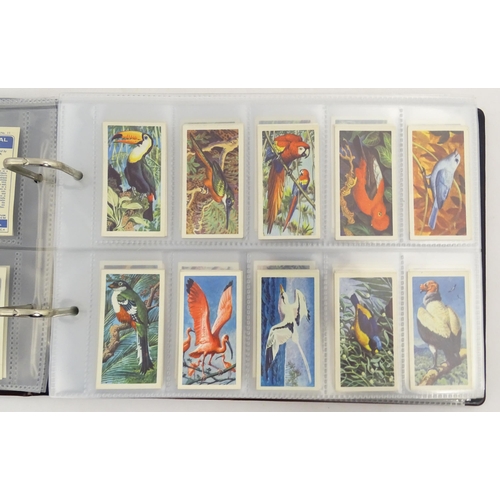 964 - A quantity of tea and cigarette cards within three albums, examples from various series including Jo... 